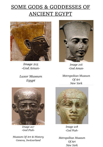 Ancient Egypt & The Myth Of The White Pharaohs - Ebook