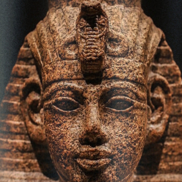 Pharaoh Amenhotep III: The Golden Age King Shower Curtain
