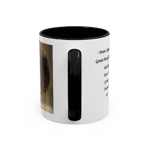 Queen Tiye Mug | Kemet's True Zenith | Ancient African Queen from Upper Egypt