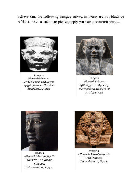 Ancient Egypt & The Myth Of The White Pharaohs - Ebook