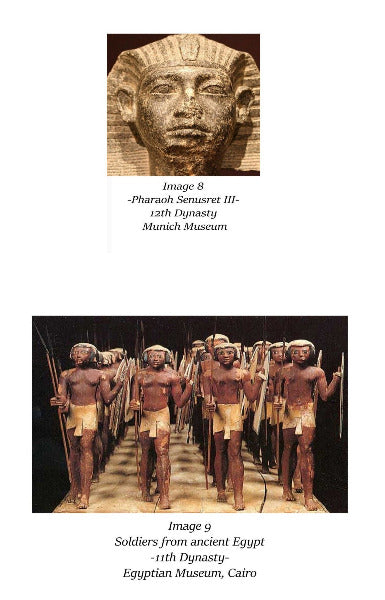 Ancient Egypt & The Myth Of The White Pharaohs - Ebook