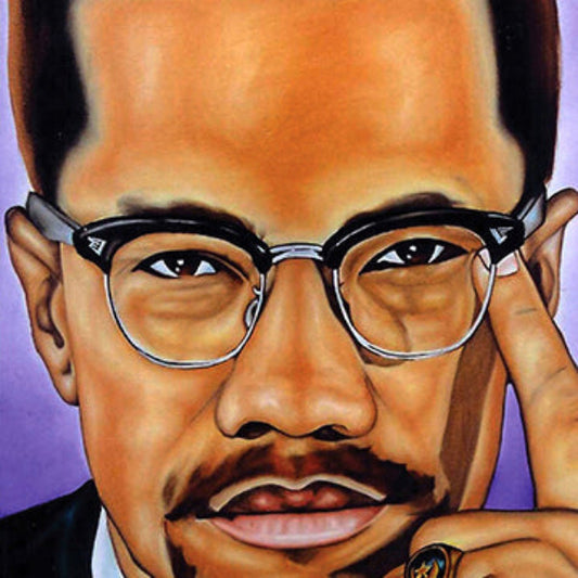 Inspirational Wall Art Canvas Print, Motivational Decor, Gift for Teachers, Home Office Decor, Modern Art Piece, Malcolm X Portrait