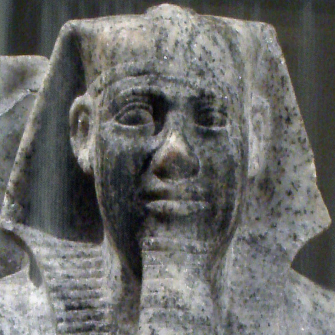 Egypt's Golden Age: Pharaoh Sahure's Enduring Legacy Shower Curtain